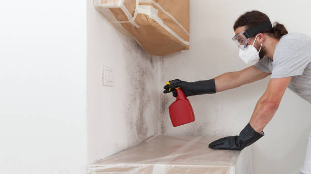Professional Bathroom Mold Removal technician working in Falkland, NC